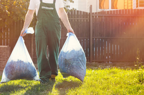 Basement Cleanout Services in Las Quintas Fronterizas, TX